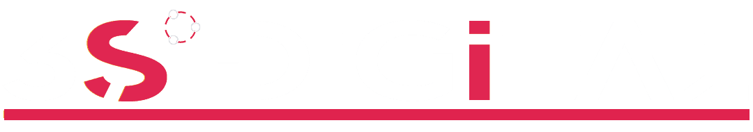3S Digital